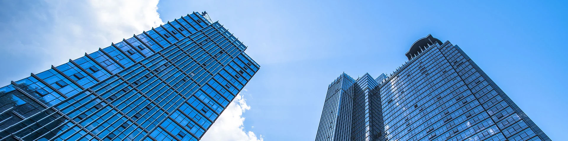 Ընկերության մասին